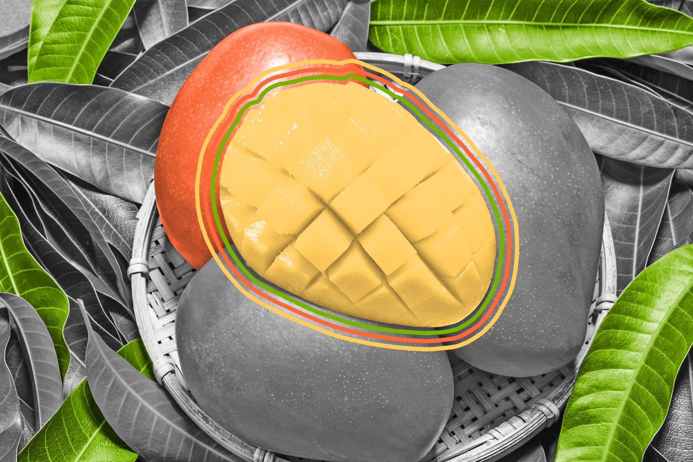 Mango skin contains the same irritant as poison ivy.
