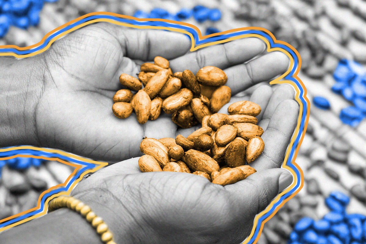 Aztecs considered cacao beans more valuable than gold.