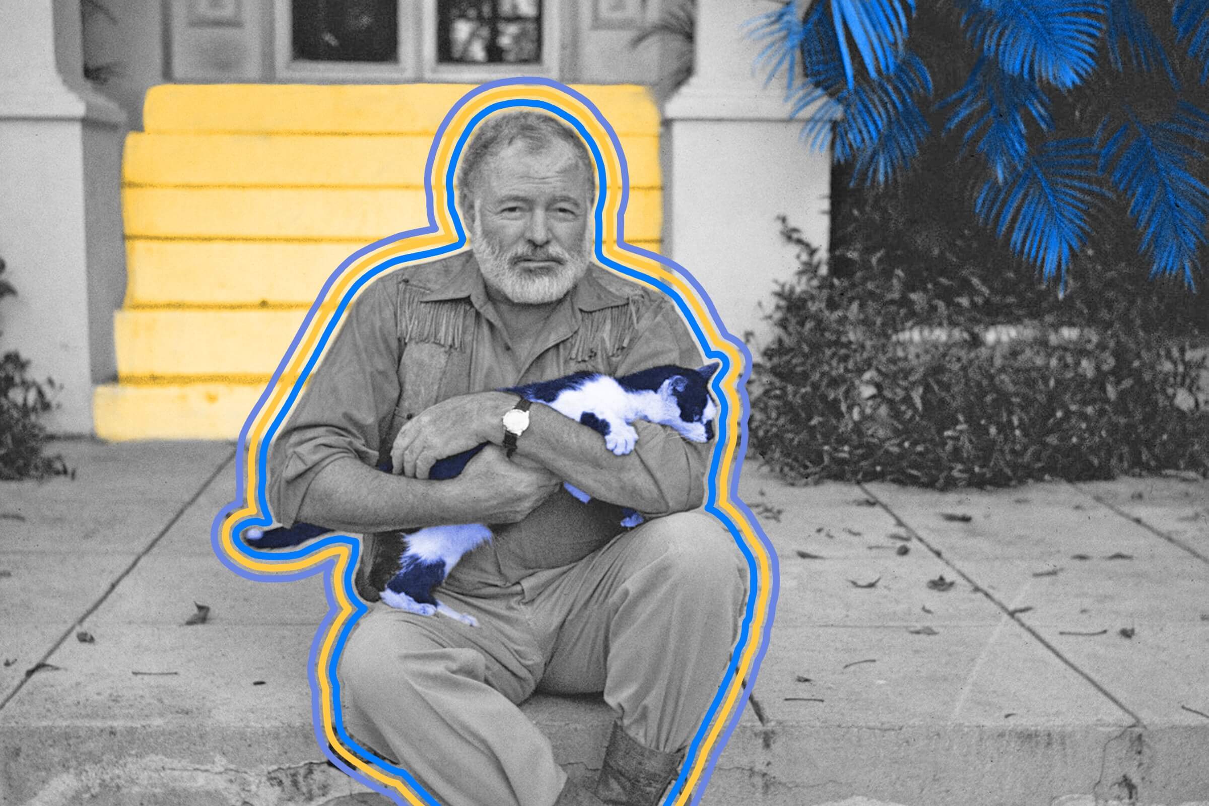 There are about 60 polydactyl cats living at the Ernest Hemingway Home and Museum in Florida.