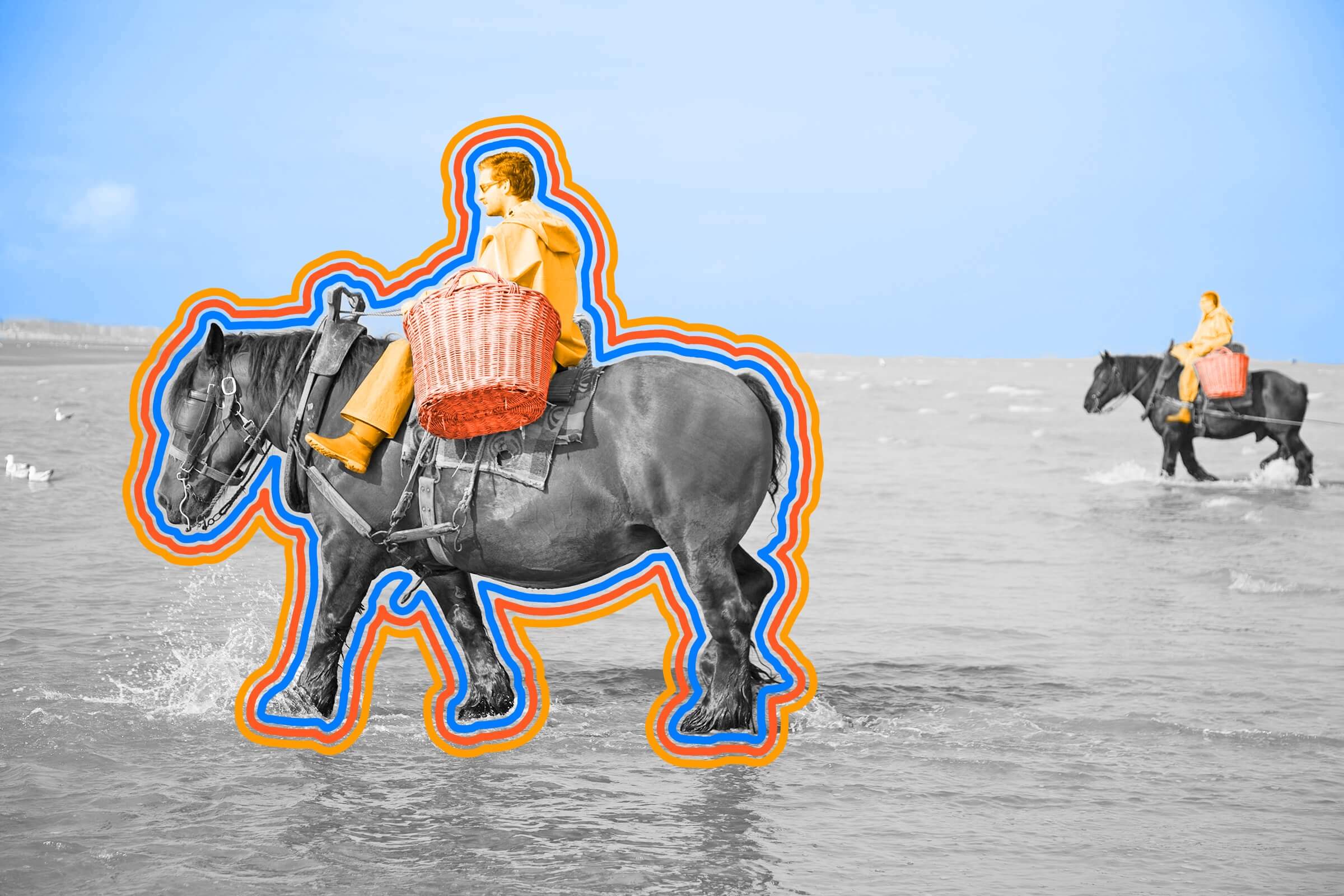 Belgium has a 500-year-old tradition of shrimp fishing on horseback.