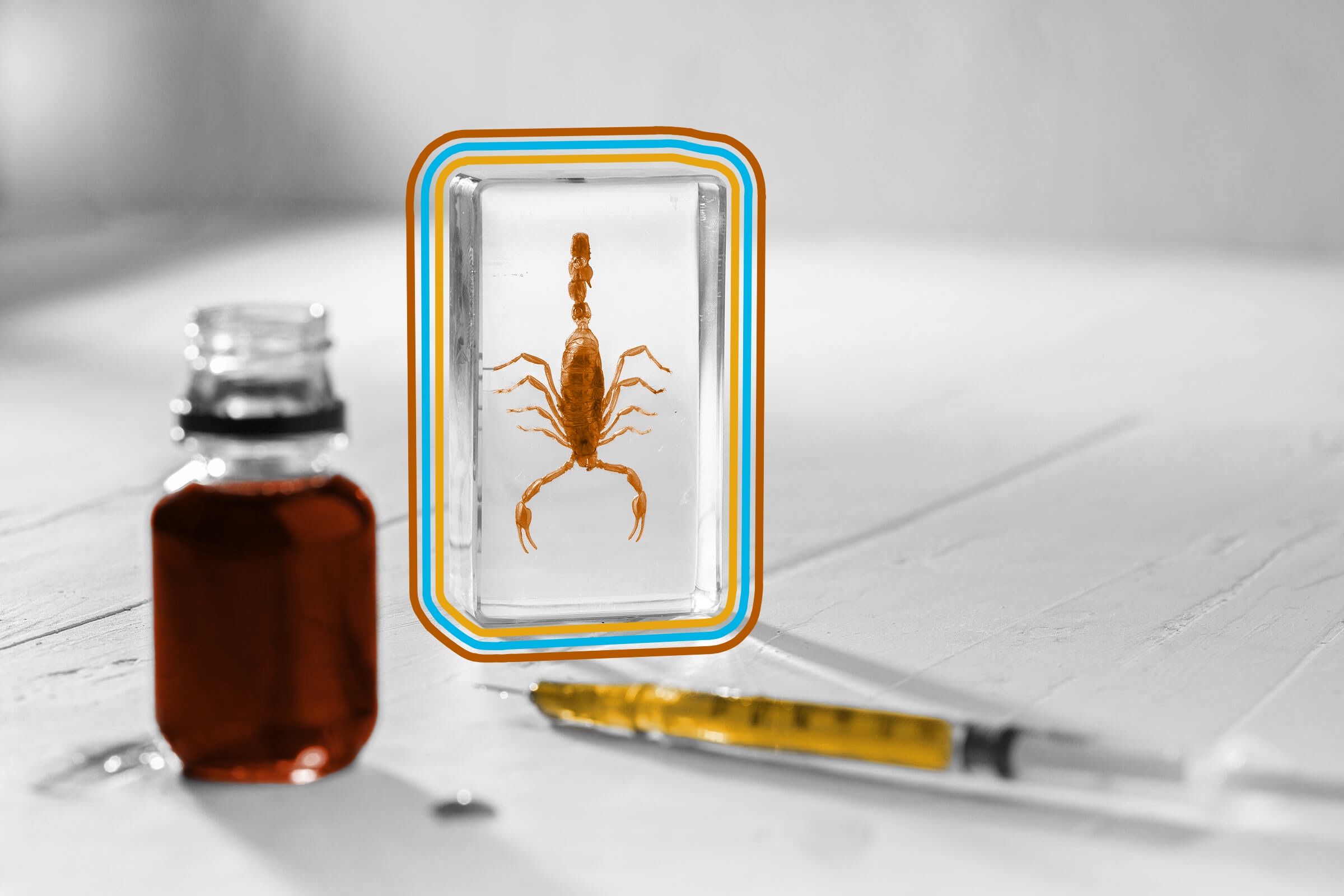 Scorpion venom is among the most expensive liquids on the market.